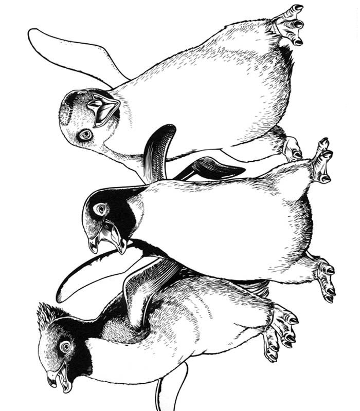 Plansa de colorat cu Happy Feet 8 8